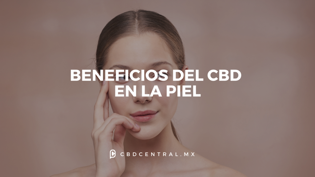 Beneficios Del CBD En La Piel CBD Central Mx