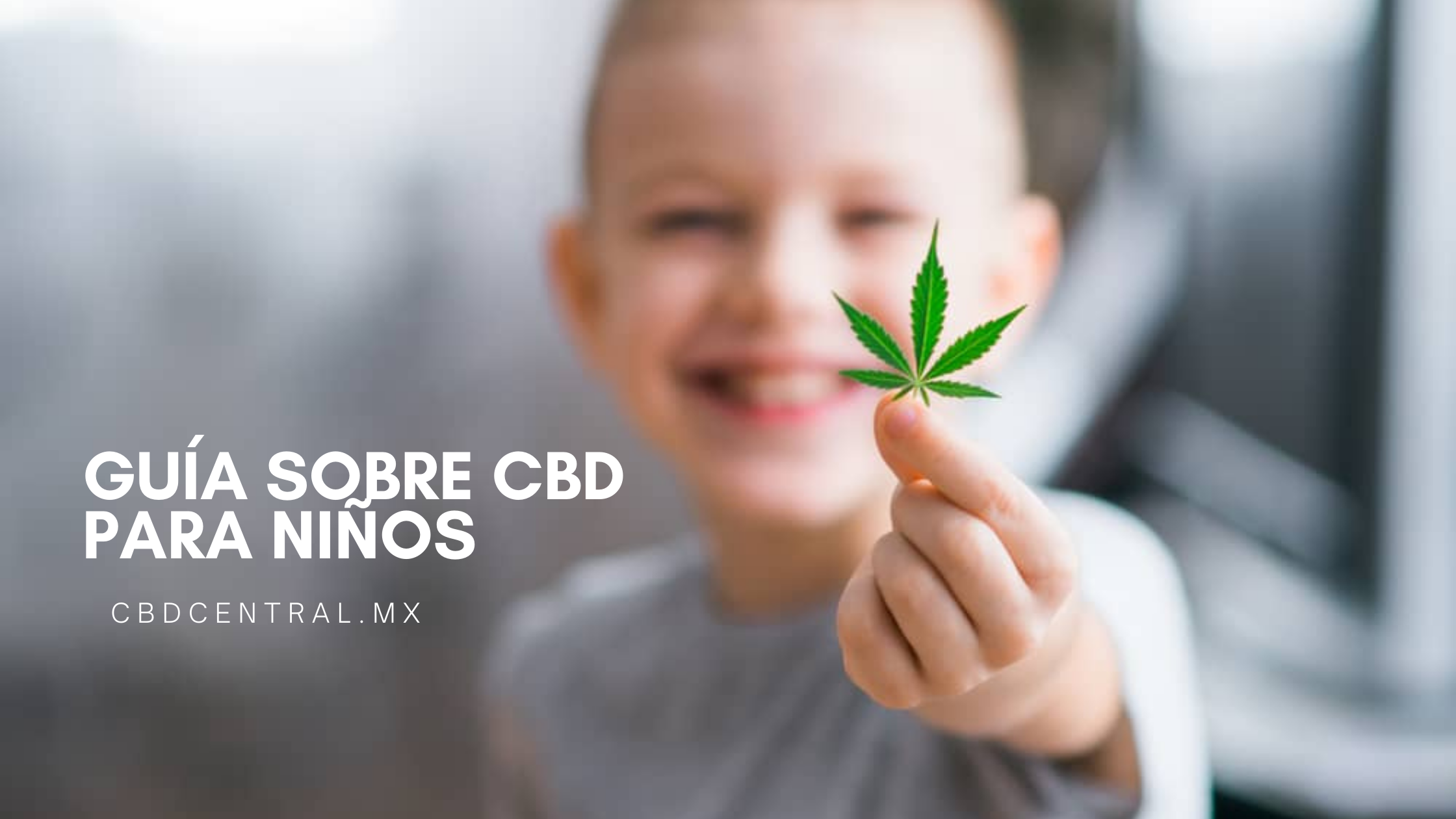 Cómo dosificar correctamente el aceite de CBD [Calculadora aquí