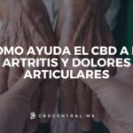 CBD para la artritis: Alivio natural del dolor y la inflamación