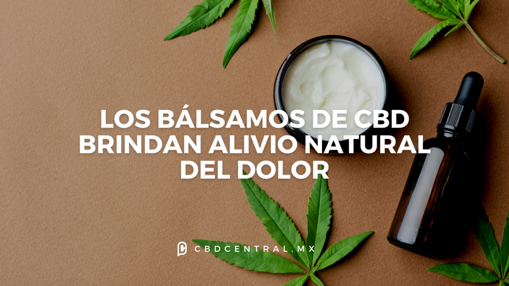 Balsamos con CBD Alivio natural