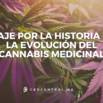 Un Viaje por la Historia de la Evolución del Cannabis Medicinal